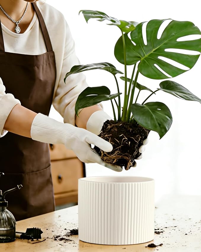 Ceramic Plant Pots, 8.1 + 6 Inch Planters for Indoor Plants, Modern Flower Pots for Plants with Drainage, Medium Cylinder Flower Pots for Indoor Plants, House Plants, Matte White