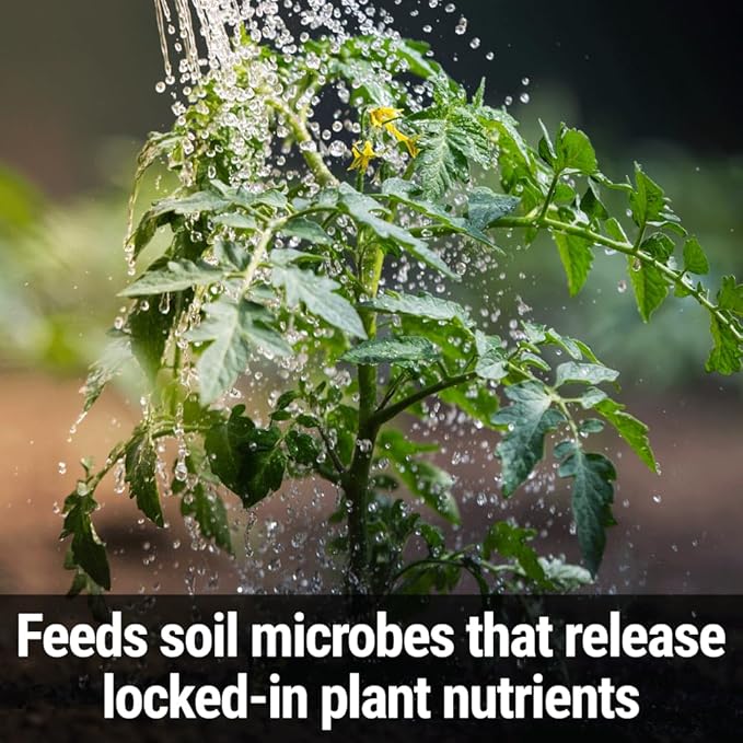Seedlingers Mix & Feed All Purpose Plant Food Pint Concentrate