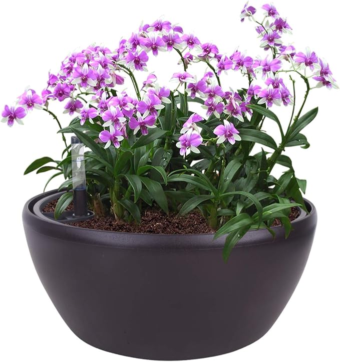Vencer 11 Inch Plastic Round Self Watering Planter,Water Indicator,Modern Decorative Planter Pot for All House Plants Flowers, Herbs, Vegetables, Tropical,Coffee,VF-048BL
