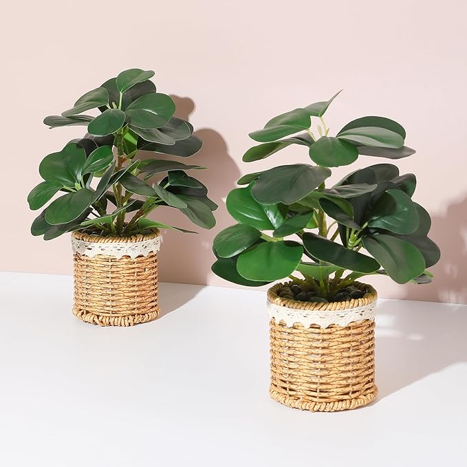 Nubry 2 Pack Fake Plants Artificial Potted Plants with Weaved Pot for Shelf & Table Desk | Perfect for Home Office Bathroom Farmhouse Room Coffee Table Decor 10‘’