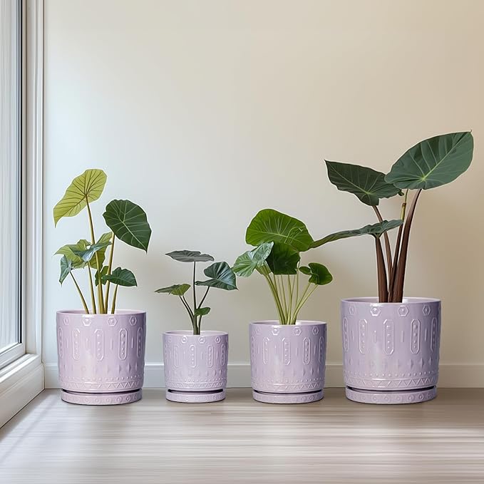 Eightpot Ceramic Pots for Plants, 6 Inch Plant Pot for Indoor Outdoor Plants, Round Planter with Drainage Holes and Saucer, Boho Decorative Flower Pots, Apartment Decor, Plant Lover Gifts, Purple