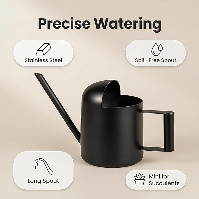 IMEEA Mini Watering Can for Indoor Plants Stainless Steel Small Watering Can 11oz/300ml