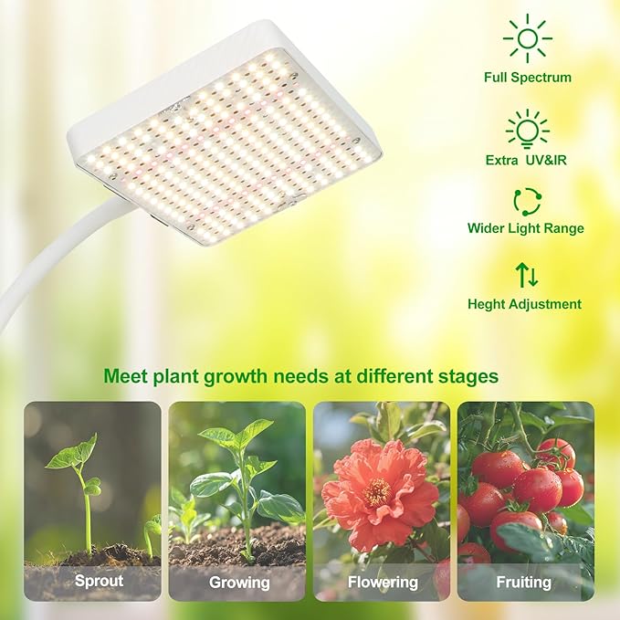 2Head Tabletop Grow Light, Bright and Big Coverage Grow Lights for Seed Starting, Bonsai, Succulent, 4/8/12/16/20H Timer, 50 Watt Power Draw, NO Need Adapter, 16"-24" Height Adjustable