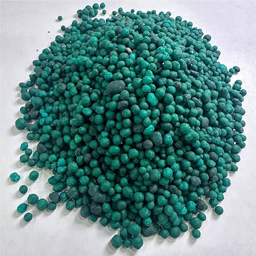 Real Growers House Plant 365 - Slow Release Houseplant Nutrients (75 Grams)