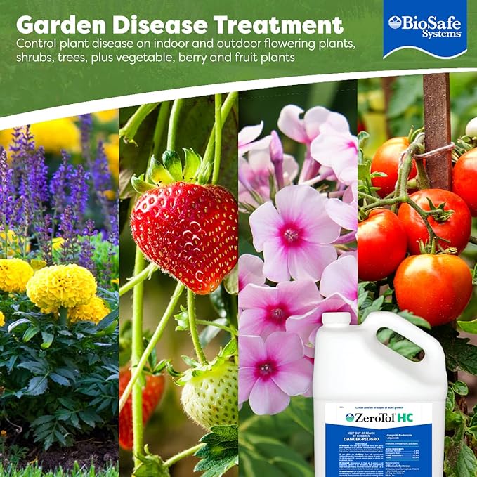 BioSafe Systems ZeroTol HC, Broad Spectrum Algaecide, Bactericide, and Fungicide, Peroxyacetic Acid, Kills Mold, Single 6200-1, 1 Gallon