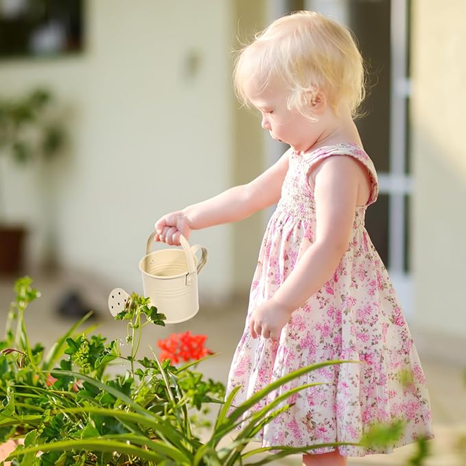 5PCS Mini Watering Cans Kids Metal Watering Can for Indoor Plants, Small Water Can Toddler Gardening Tool Beach Play, Multifunctional Cute Metal Jug for Craft Colorful Home Decor Flower Bucket