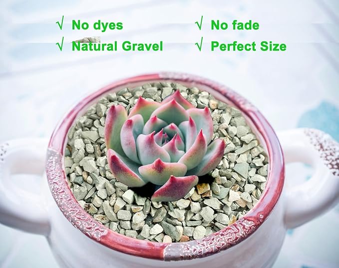 Boniosz 2lb Succulents and Cactus Green Zeolite, Décor & Additive Rocks, Natural Decorative Gravel for Bonsai, Fairy Gardening, DIY Projects, Vases Fillers, Terrarium