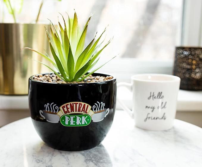 Silver Buffalo Friends Central Perk Logo Decorative Artificial Faux Greenery Plant in Ceramic