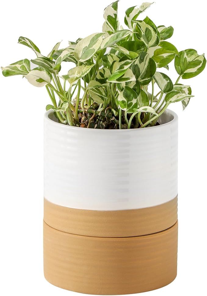 HASENSE Ceramic Plant Pot with Saucer, 6 Inch Planter White Flower Pot for Succulents,for Indoor Plants with Drainage Hole, Snake Plants & Cactus, Modern Decor Gift for Mom