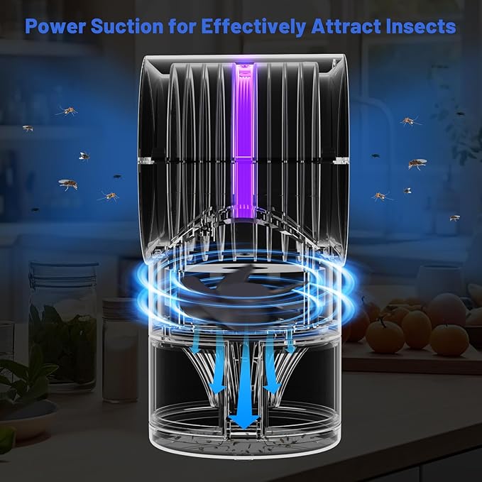 Fruit Fly Trap for Indoors, Fly Traps for Home Gnat Traps House Indoor, Indoor Insect Trap with Time Setting, 10 Sticky Glue Boards (Blue)