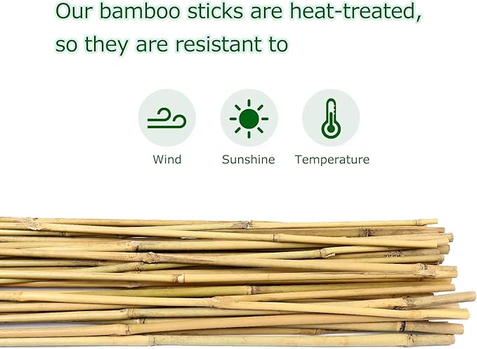 Cambaverd Bamboo Garden Stakes 3 Feet Plant Stakes for Roma Tomatoes Sunflowers Beans Potted and Climbing Plants - Pack of 25 Bamboo Sticks