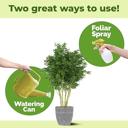 Bamboo Plant Food – Liquid Plant Food for New Shoot Growth, Rich Green Leaves & Strong Root Development, 8 oz