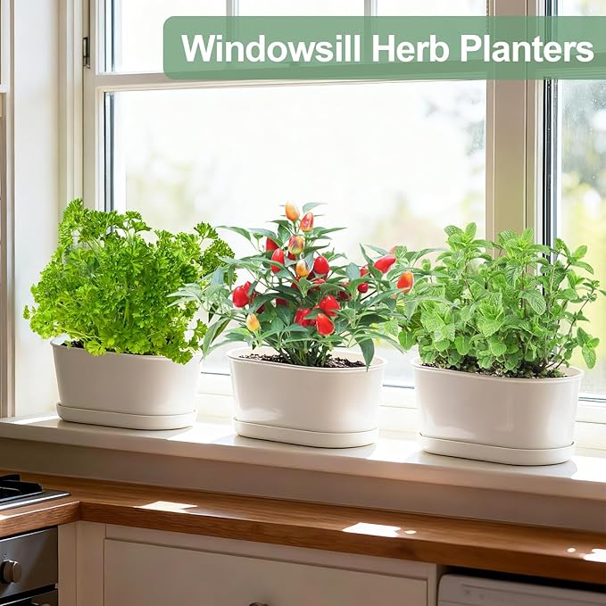 Oliz Set of 8 White Oval Window Sill Planters with Drainage Holes and Trays（7 Inch） for Herbs Basil Orchids Succulents, Modern Herb Garden Planter for Indoor/Outdoor Plants