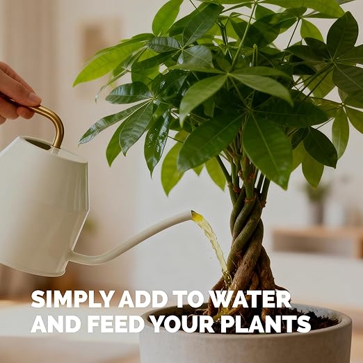 Money Tree Fertilizer – Liquid Plant Food for Lush Foliage, Healthy New Growth & Stronger Roots, 1 Gallon