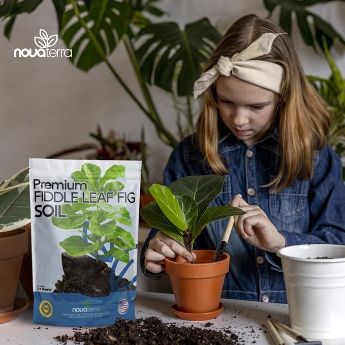 Fiddle Leaf fig Soil Plant Food fig Trees Live Plants Fertilizer Seed Starter Soil Plant Chunky Perlite 4 cu ft Plant pots Indoor with Drainage Free 2 oz Bag of Fertilizer Pellets Inside 2.4 Qts