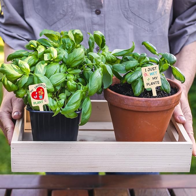 UPINS 24Pcs Acrylic Plant Labels Plant Markers Plant Tags Signs with Funny Words for Indoor Outdoor Gardens Plants