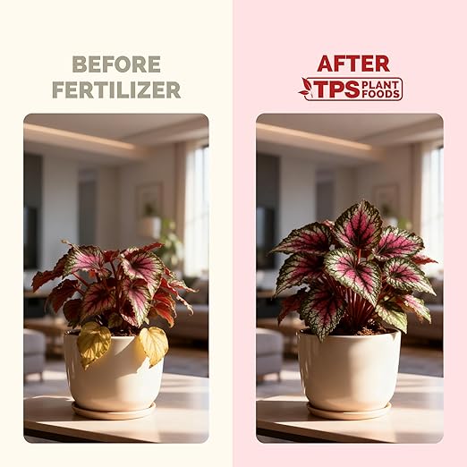 Begonia Fertilizer – Liquid Plant Food for More Blooms, Vibrant Color & Healthy Leaf Growth, 32 oz