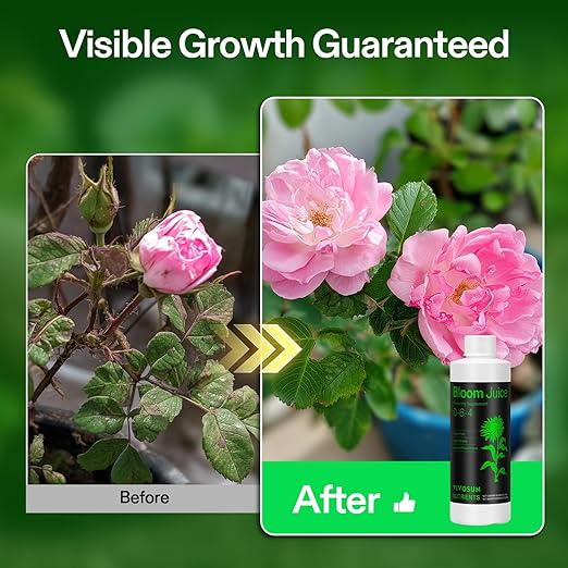 VIVOSUN Bloom Juice (0-6-4), Flowering Supplement Liquid Fertilizer for Flowering Stage, Concentrated Plant Food for All Flowering Plants, 8 Ounces (Pack of 2)
