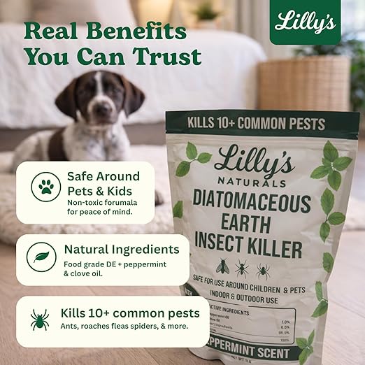 Diatomaceous Earth Food Grade 1lb Bag | Carpet Beetle Killer Indoor, Flea Powder for Carpets, Roach & Ant Killer | Whole-Home Pest Control Powder with Peppermint & Clove | Lilly's Naturals