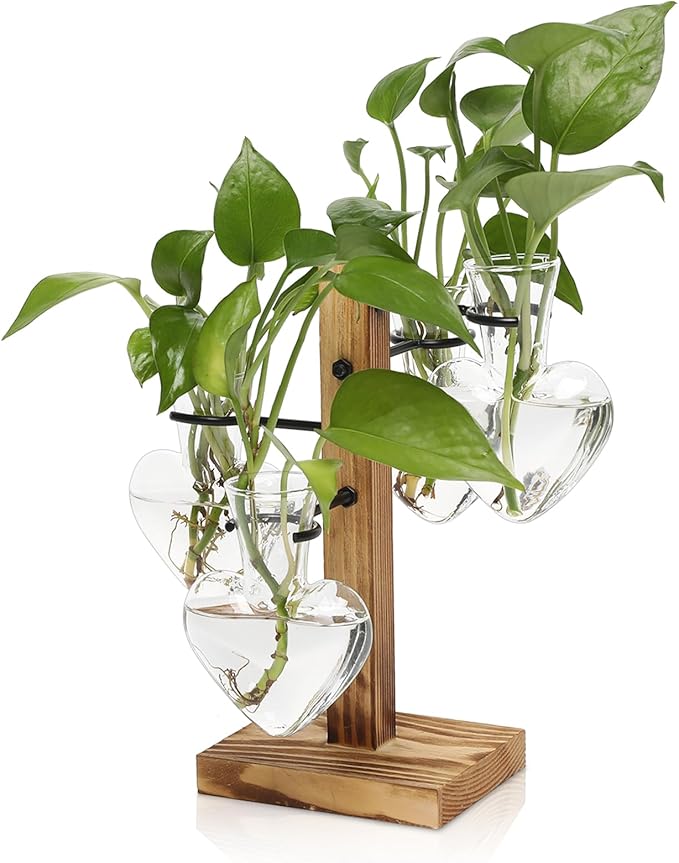 Plant Terrarium Propagation Stations with Wooden Stand, Glass Vase for Indoor Hydroponics Home Garden Office Decoration Gift for Women - 4 Love Bulb Vase