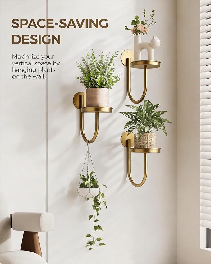 Bamworld Wall Plant Holder Wall Planters for Indoor Plants Plant Hanger Indoor Window Plant Shelves Hanging Plant Holder Window Plant Hanger Plant Decor Golden 3pcs