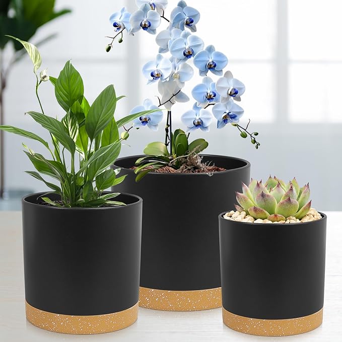 WSMKSZ 3 Pack 6/5/4 inch Cylindrical Flower Pots, Modern Small Round Plastic Plant Pots with Drainage Holes & Saucers, Clean and Refined Planter Pots for Outdoor, Indoor & Office Decor (Black Brown)