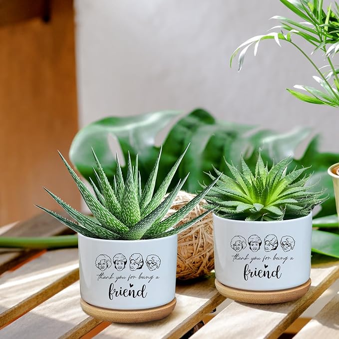 Golden Girls Merchandise,Thank You for Being A Friend,Succulent Flower Cactus Plant Pot with Drainage,Friendship Gifts for Friends Bestie Sister,Friend Gifts for Women(Plant Not Included)