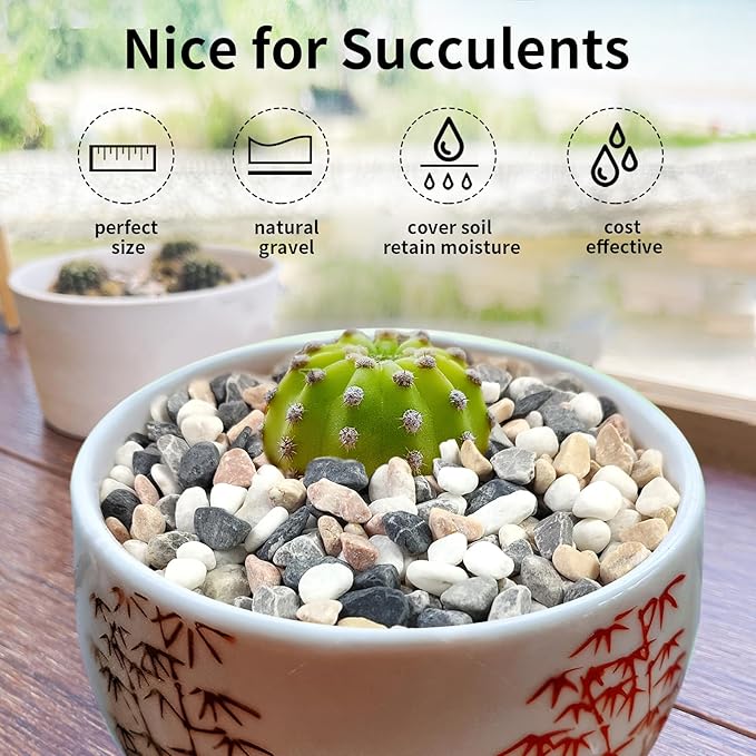 FANTIAN 10 lbs Pebbles for Landscaping, 3/8 Inch Pea Gravel. Decorative Stones Rocks for Succulent, Cactus, Vases, Terrarium, Aquarium, Potted Top Dressing and Outdoor Garden