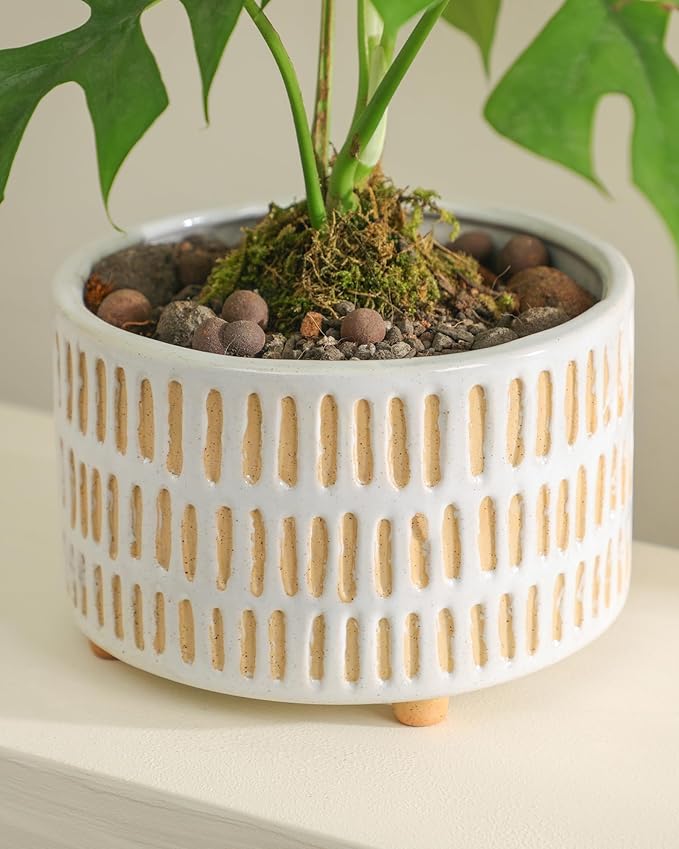 Fayoula Succulent Pots, 6 Inch Planters with Drainage Hole, Modern Indoor Plant Pots for Succulents, Herbs, Aloe, Snake Plant - Ceramic Home Décor, Set of 2