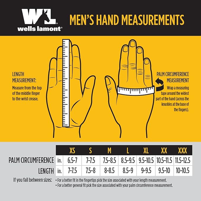 Wells Lamont Versatile Work Gloves Lightweight, Durable, Comfortable Jersey Basic, 12-Pair Bulk Pack, X-Large (506XLZ)
