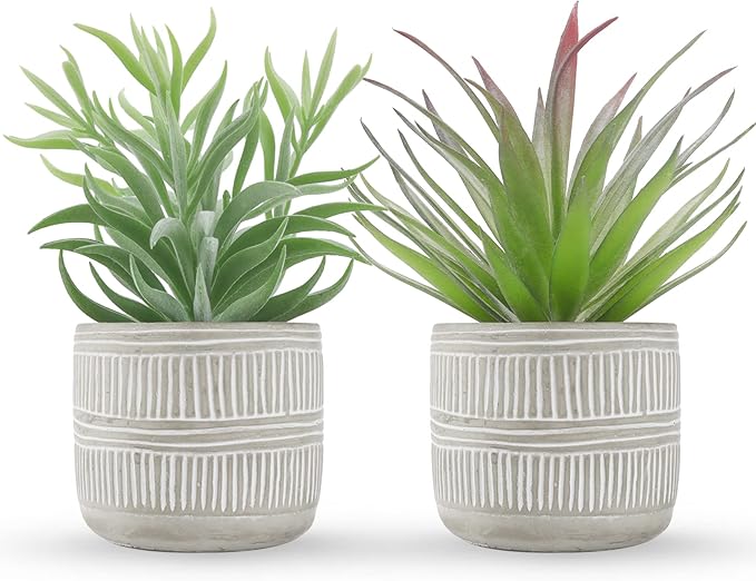 Der Rose 2 Pack Fake Succulents Plants Artificial Succulents in Pots for Room Home Bathroom Bedroom Office Boho Decor