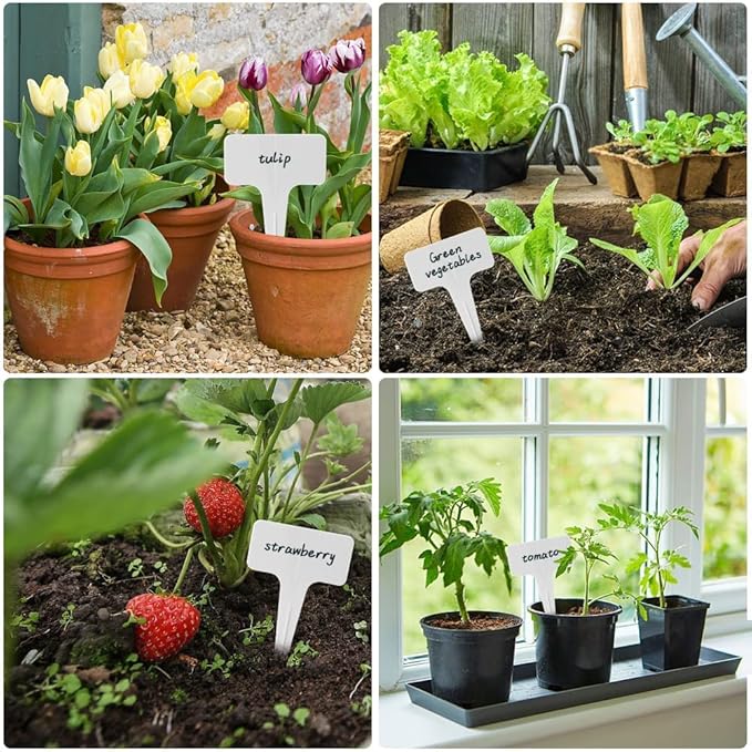 DaTpuik 100 PCS White Plastic Plant Tags Thick Gardens Labels T-Type Nursery Markers Re-Usable