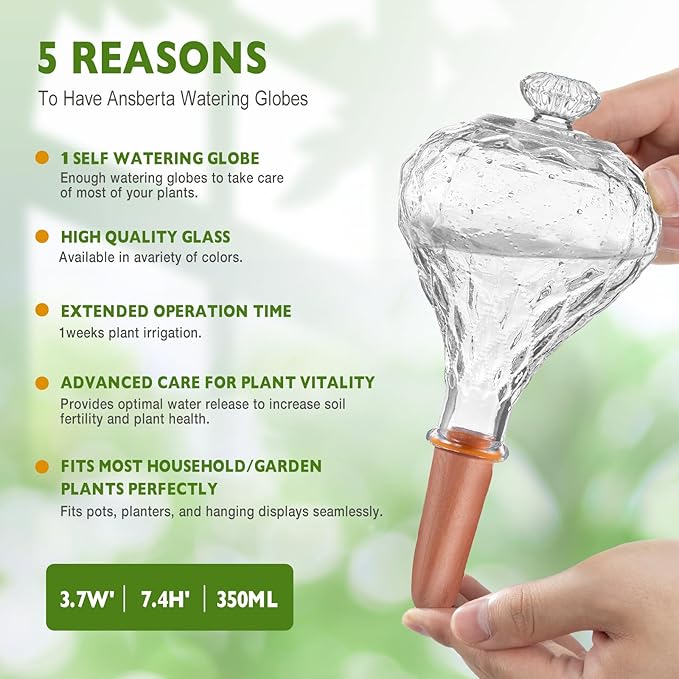 12 oz Plant Watering Globes, Clear Glass Self Watering Bulbs Top Fill with Terracotta Spikes Stake, Self Watering Planter Insert Vacation Automatic Plant Waterer Device for Indoor & Outdoor