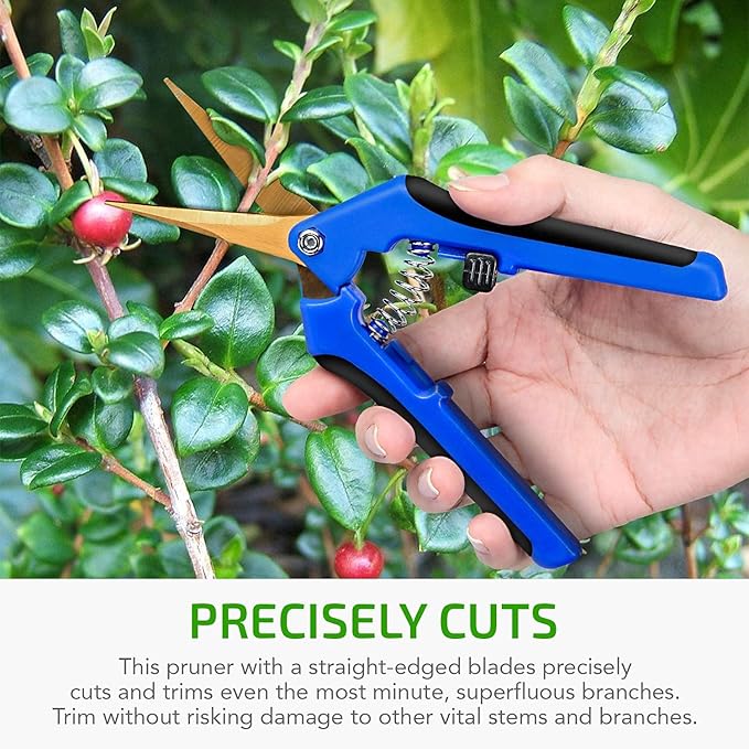 iPower 6.5 Inch Garden Pruning Shears with Titanium Coated Curved Precision Blades, Blue, 1-Pack