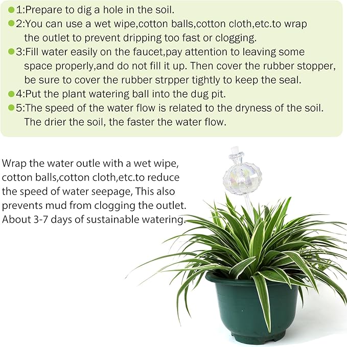 3 PCS Top-Fill Self Watering Globes, Automatic Plant Watering Devices, Transparent Self Watering Planter Insert, Durable Clear Glass Aqua Bulbs for Indoor, Cactus Shape, & Funnel