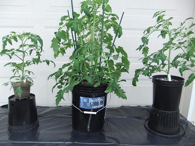 ACTIVEAQUA RS5GAL4SYS Root Spa 5 Gallon Hydroponic 4 Bucket Deep Water Culture Grow Kit System with Multi-Purpose Air Hose and Air Pump, Black
