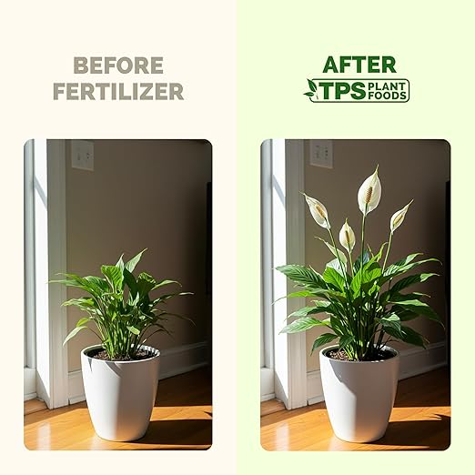 Peace Lily Fertilizer – Liquid Plant Food for More Blooms, Deep Green Leaves & Healthy Root Development, 32 oz