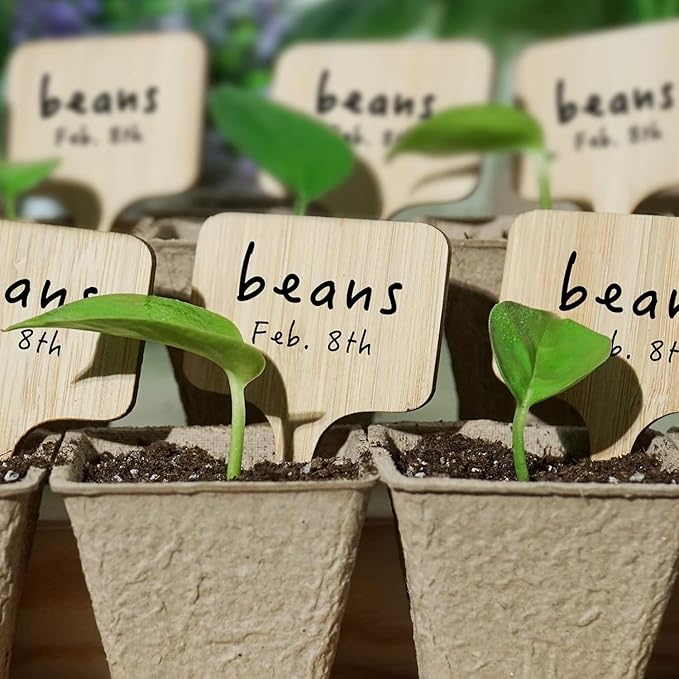 OBTANIM 75 Pack Bamboo Round Plant Labels with A Marker Pen, Garden Markers Sign Plant Tags for Seedling Potted Herbs Flowers Vegetables