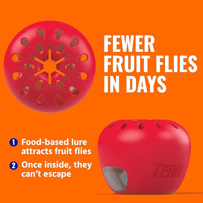 TERRO Fruit Fly Traps for Indoors (4 Pack) + 180 Days of Lure Supply - T2503SR - Lure and Kill Indoor Fruit Flies Near Fruit, Trash Cans, Countertops - Ready to Use Trap - 180 Day Supply