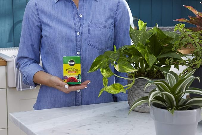 Miracle-Gro Water Soluble All Purpose Plant Food - Fertilizer For All Indoor or Outdoor Plants including Roses, Flowers, Vegetables, Houseplants, Trees, and Shrubs, 8 oz. (2-Pack)