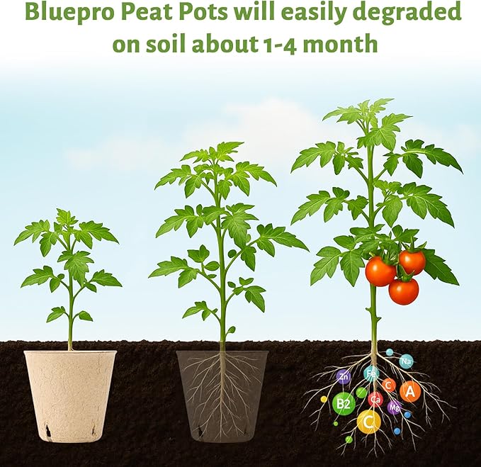 Bluepro 120 Packs 3.15 Inch + 4 Inch Peat Pots, Biodegradable Pots for Seedlings with Drainage Holes, Herb Seed Starter