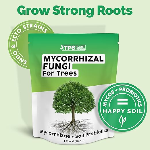 Mycorrhizal Fungi for Trees – Microbial Supplement for Root Expansion & Better Nutrient Uptake, 6 oz