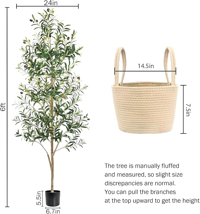 Caxchiling Faux Olive Tree 6FT, Artificial Potted Tree with Planter, Silk Plants Indoor Outdoor, Lifelike Olive Plants with Natural Wood Trunk, Fruits and Buds, Home Office Decor, 1 Pack