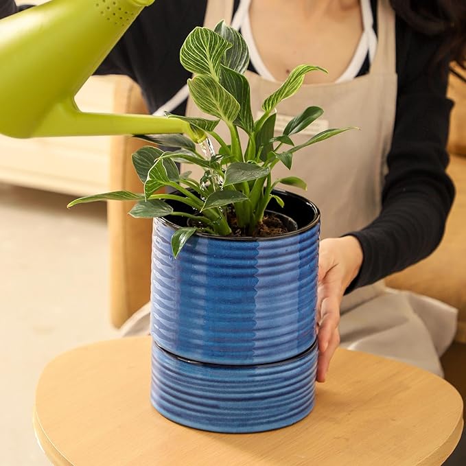 HASENSE Ceramic Plant Pot with Saucer, 6 Inch Planter for Indoor Plants with Drainage Hole,Snake Plants & Cactus, Navy Blue Flower Pot for Succulents,Modern Home Office Decor Gift