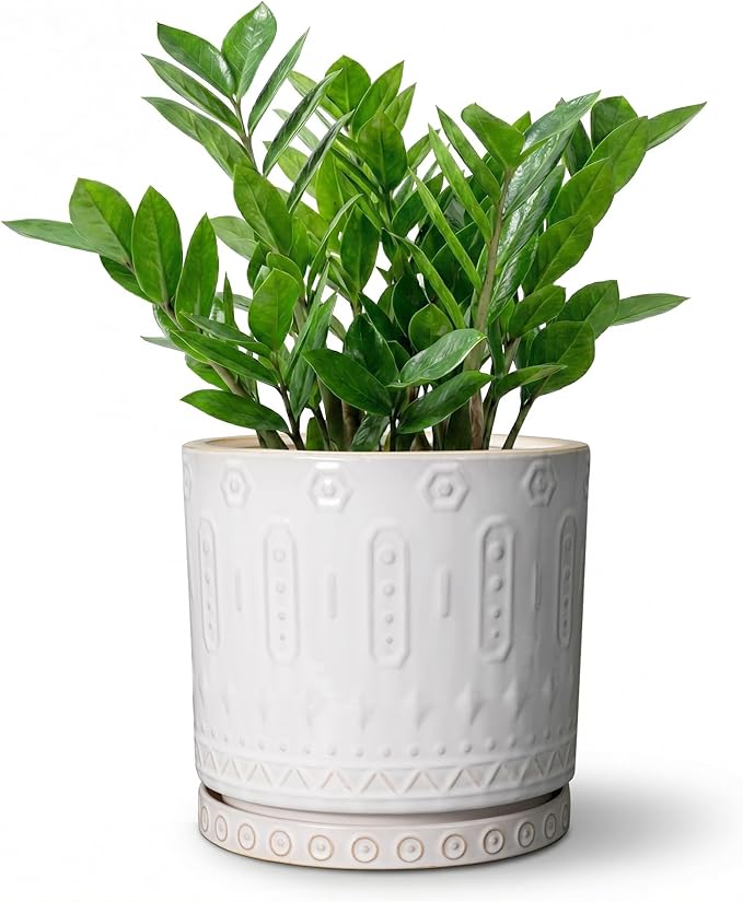 Eightpot 8 Inch Plant Pot, Ceramic Planter for Indoor Plants Outdoor, Round Planter with Drainage Hole and Tray, Boho Flower Pot, Decorative Pots for Plants, Home Decor, Plant Lover Gifts, White