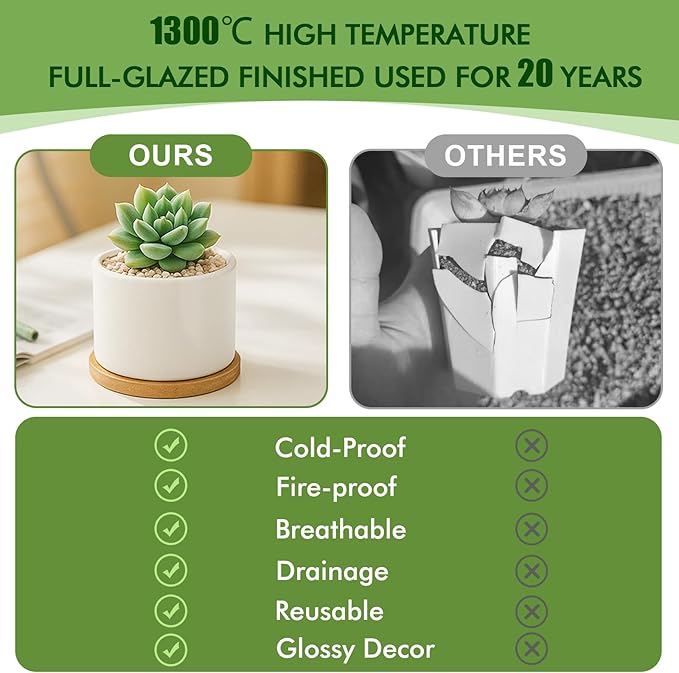 ZOUTOG Succulent Pots 3.1 Inch,8 Pack Succulent Planters,Small Pots for Plants with Drainage and Tray,White Ceramic Flower Planters for Indoor Plants,Home,Office,Desk