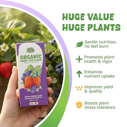Organic Berry Fertilizer, OMRI Listed Concentrated Liquid Seaweed Extract, 2oz Kelp Plant Food Nutrient Boost Ideal for All Berries Bush Strawberry Blueberry Healthy Growth