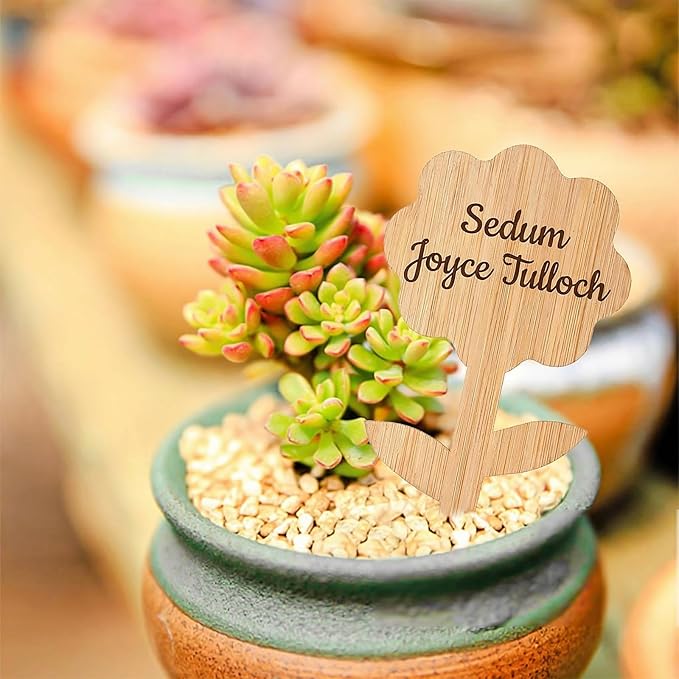 Elsjoy 90 Pack Bamboo Plant Labels, 9 Styles Cute Plant Tags Garden Markers, Wooden Garden Labels for Seeds, Herbs, Vegetables, Gifts
