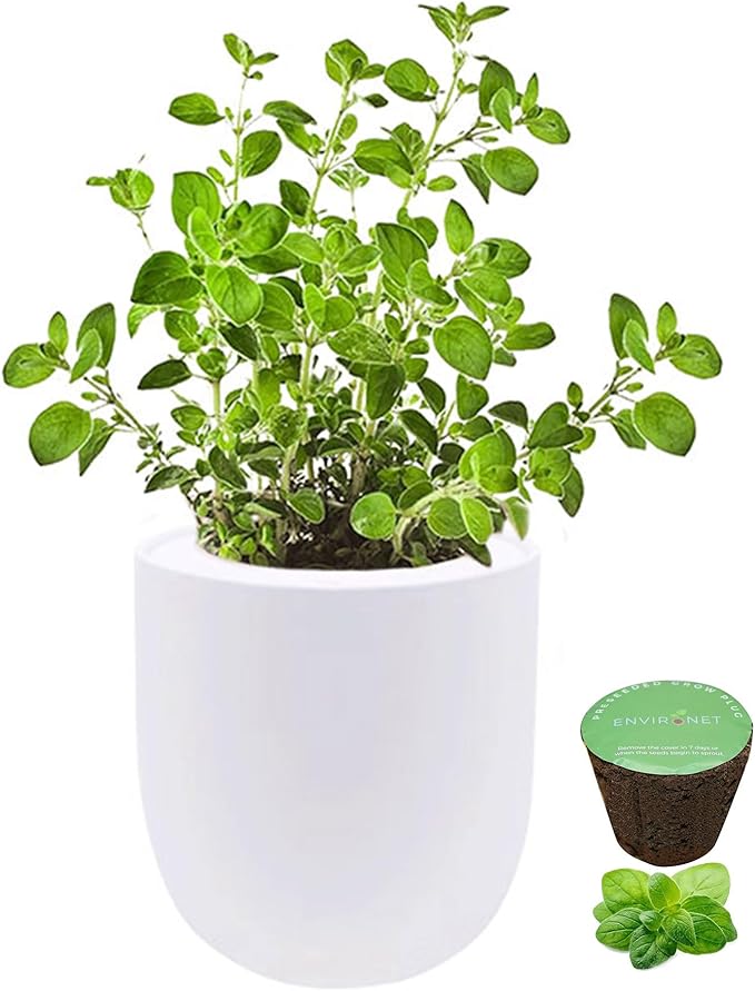 Hydroponic Herb Growing Kit, Self-Watering Kitchen Herb Garden Starter Kit with Organic Seeds (Oregano)