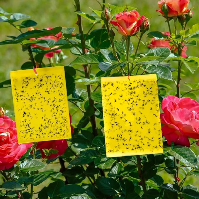 Fruit Fly Trap, 40pcs Yellow Sticky Traps for Plant Gnats, Two-Sided Insect Control, Fruit Fly Killer Indoor and Outdoor Protect The Plant